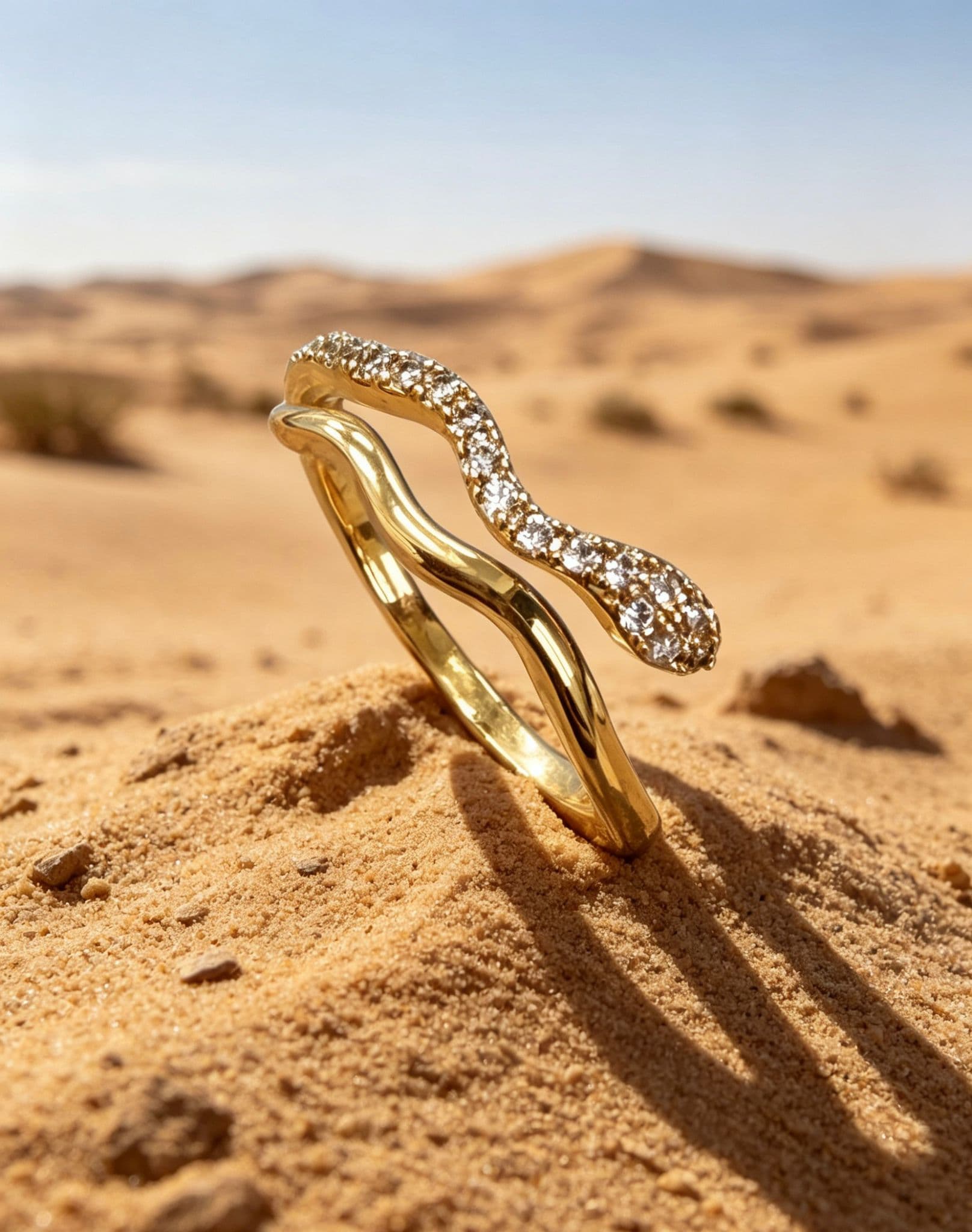 Duo Arc Hoops